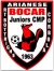 logo Bocar Juniors