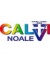 logo Calvi Noale