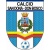 logo Vedelago