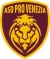 logo Treviso Academy